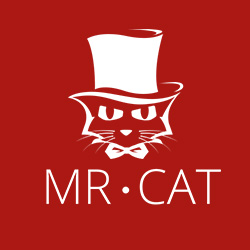 Mr. Cat 猫先生