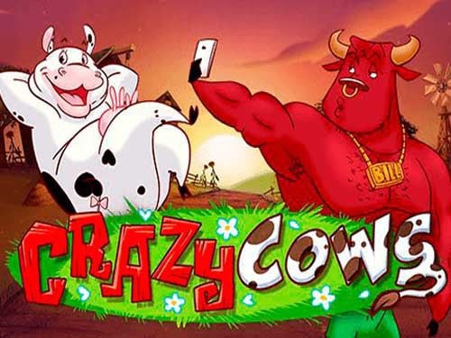 CRAZY COWS