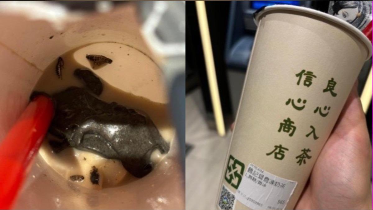 UBO8-国际新闻-芝麻凍飲「驚咬到爆漿蟑螂」！一看杯底崩潰　鶴茶樓深夜急道歉