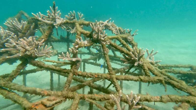 UBO8-快讯新闻-🐬生態旅遊新篇章！澎湖望安超狂計畫，打造永續觀光新典範！守護海洋，從你我做起！💙