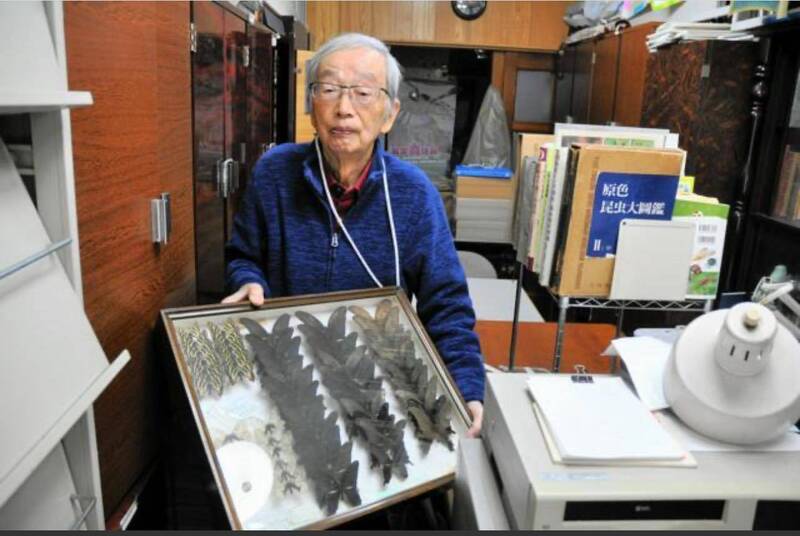 UBO8-快讯新闻-奇蹟！82歲教授「半世紀心血」在日本被當垃圾！1000箱「天價昆蟲標本」竟在台灣找到「永恆的家」！